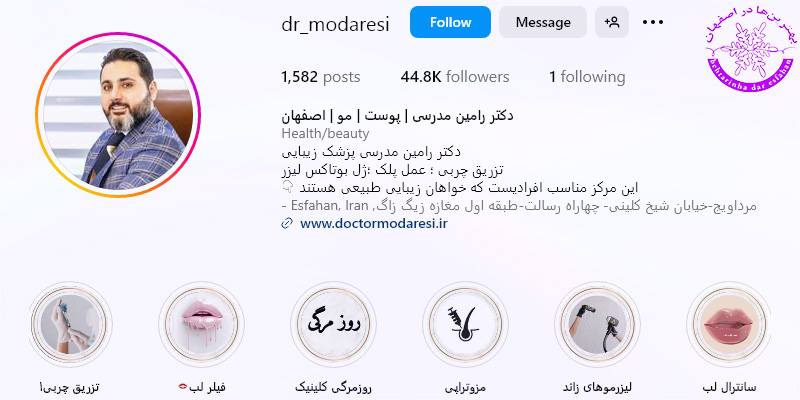 رامین مدرسی