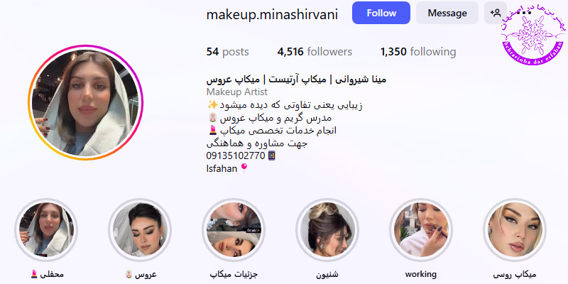 مینا شیروانی