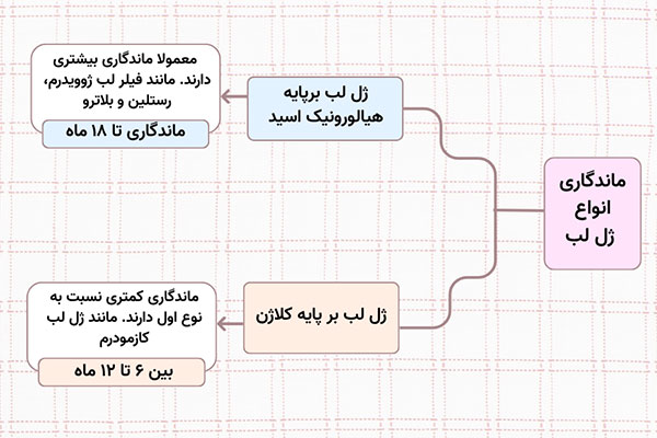 ماندگاری فیلر لب