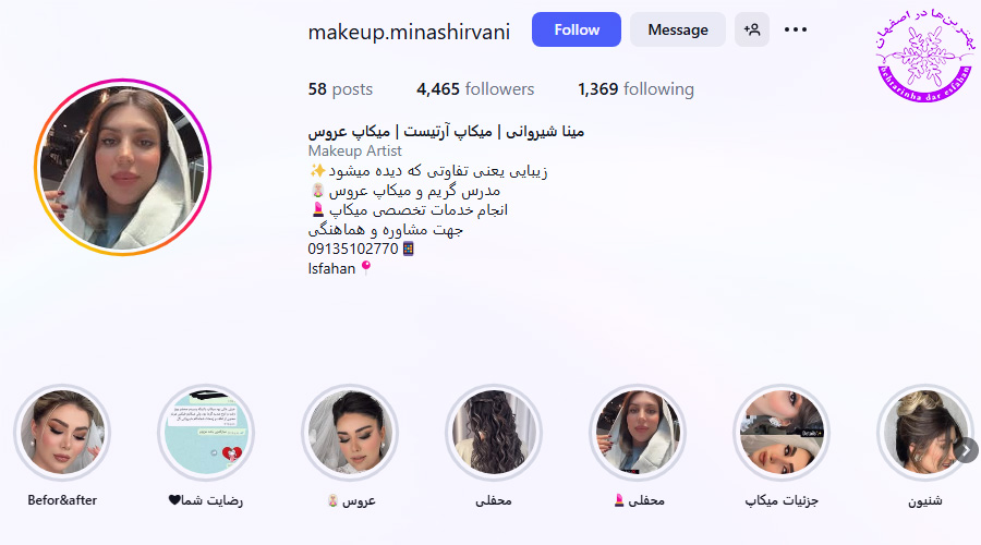 مینا شیروانی