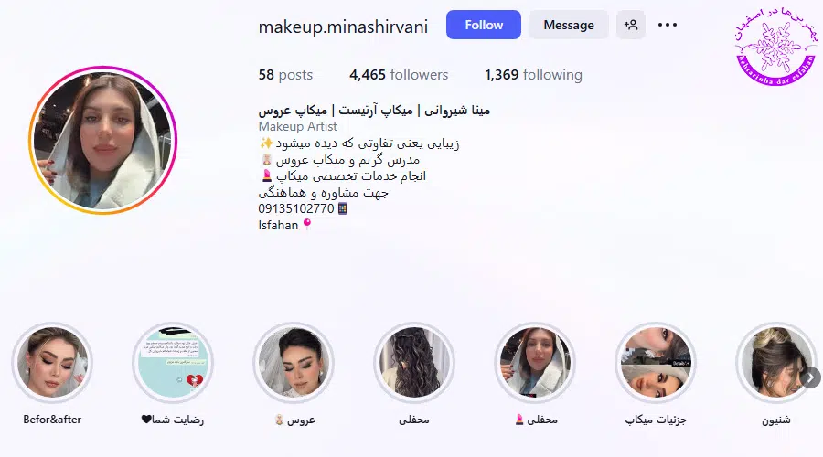 مینا شیروانی